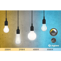 Smart Home Zigbee Filament 230V LED Birne E27 470lm 4,7W Tunable White dimmbar Matt