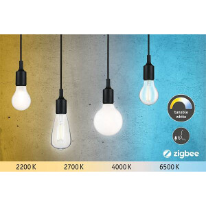 Smart Home Zigbee LED Birne LED Globe E27 806lm 7W Tunable White dimmbar Opal