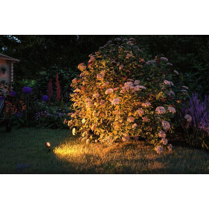 Plug & Shine LED Gartenstrahler Sting Basisset Insektenfreundlich IP67 2200K 3x6,3W 75VA Anthrazit
