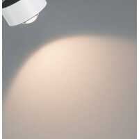 URail LED Schienenspot Aldan Einzelspot 498lm 8W 2700K dimmbar 230V Weiß Schwarz
