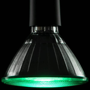 LED PAR 38 Reflektor grün E27 18W 660LM