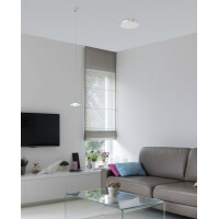 Ersatzglas für Fabas Susanna gallery